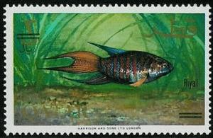 Colnect-2178-066-Paradise-Fish-Macropodus-opercularis.jpg