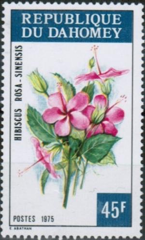 Colnect-2541-448-Hibiscus-Rosa-Sinensis.jpg