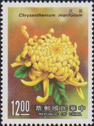 Colnect-3040-046-Florist--s-daisy-Chrysanthemum-morifolium.jpg