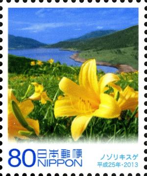 Colnect-3048-824-Nozorikisuge-Yellow-Day-Lilies.jpg