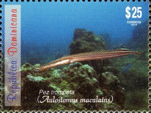 Colnect-3164-519-Trumpetfish-Aulostomus-maculatus.jpg