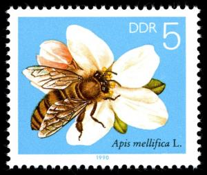 Colnect-357-591-Honey-Bee-Apis-mellifica-Apple-Blossom.jpg