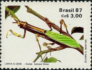 Colnect-718-170-Mantis-Zoolea-lopiceps.jpg