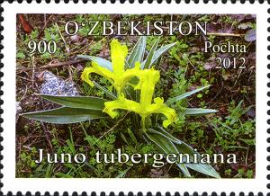 Stamps_of_Uzbekistan%2C_2012-60.jpg