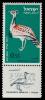 Israeli_stamps_1963_-_Birds_of_Israel_-_Chlamydotis_undulata.jpg