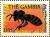 Colnect-3531-880-Honey-Bee-Apis-mellifera-ssp-saharienses.jpg