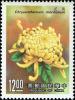 Colnect-4844-047-Florist--s-daisy-Chrysanthemum-morifolium.jpg
