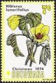 Colnect-1753-412-Hibiscus-lunarifolius.jpg