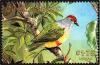 Colnect-2925-984-Cook-Islands-Fruit-Dove-Ptilinopus-rarotongensis.jpg