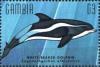 Colnect-4698-206-White-neaked-dolphin.jpg