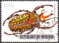 Colnect-958-651-Giant-African-Fruit-Beetle-Chelorrhina-polyphemus.jpg