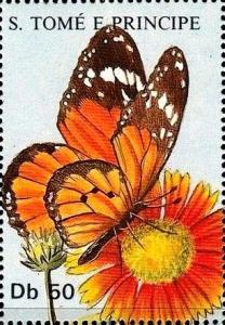 Colnect-5942-976-Brown-white-and-orange-butterly.jpg