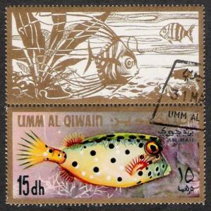Colnect-1636-528-Whitespotted-boxfish.jpg
