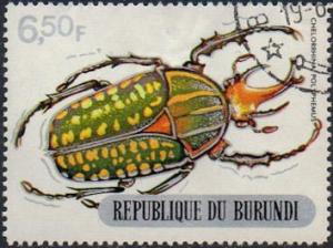 Colnect-1010-682-Giant-African-Fruit-Beetle-Chelorrhina-polyphemus.jpg