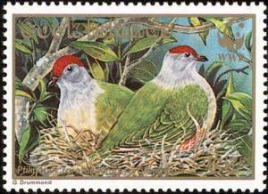 Colnect-1473-533-Cook-Islands-Fruit-Dove-Ptilinopus-rarotongensis.jpg