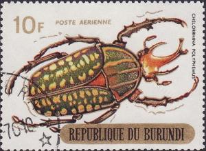 Colnect-1592-348-Giant-African-Fruit-Beetle-Chelorrhina-polyphemus.jpg