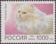 Colnect-1830-114-Persian-White-Felis-silvetris-catus.jpg