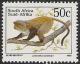 Samango-Monkey---Cercopithecus-mitis-English.jpg