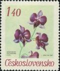 Colnect-438-966-Dendrobium-phalaenopsis-Fitzg.jpg