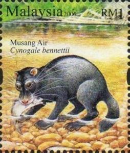 Colnect-3598-013-Otter-Civet-Cynogale-bennetti.jpg