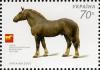 Colnect-575-908-Novooleksandrivskyi-Cart-horse-Equus-ferus-caballus.jpg