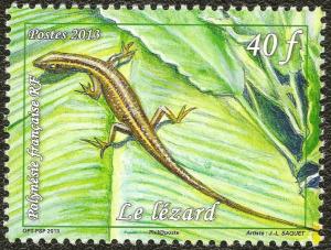 Colnect-2193-314-Lizard-Lacerta-sp.jpg