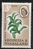 STS-Rhodesia-Nyasaland-1-300dpi.jpeg-crop-352x515at209-2575.jpg