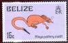 WSA-Belize-Postage-1973-74.jpg-crop-232x150at682-498.jpg