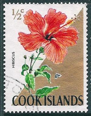 STS-Cook-Islands-2-300dpi.jpg-crop-378x480at93-2171.jpg