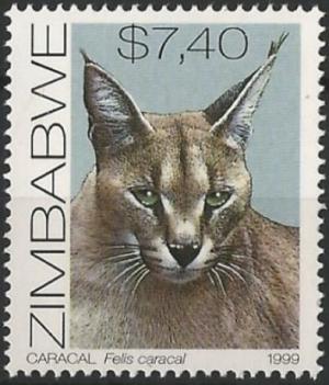 Colnect-5399-445-Carakal-Caracal-caracal.jpg