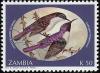 Colnect-1502-669-Western-Violet-backed-Sunbird-Anthreptes-longuemarei.jpg
