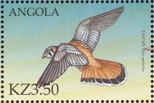 Colnect-1240-332-American-Kestrel-Falco-sparverius.jpg