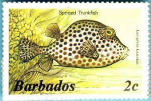 Colnect-1497-057-Spotted-Trunkfish-Lactophrys-bicaudalis-.jpg