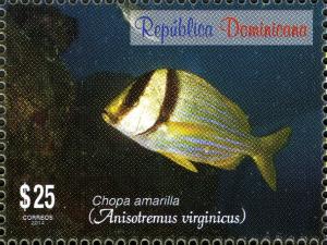 Colnect-3164-513-Atlantic-Porkfish-Anisotremus-virginicus.jpg