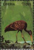 Colnect-3811-694-Limpkin-Aramus-guarauna.jpg