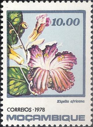 Colnect-1115-783-Kigelia-africana.jpg