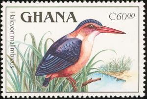 Colnect-1459-762-African-Pygmy-Kingfisher-nbsp-Ispidina-picta.jpg