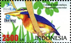 Colnect-1587-513-Rufous-collared-Kingfisher-Actenoides-concretus.jpg