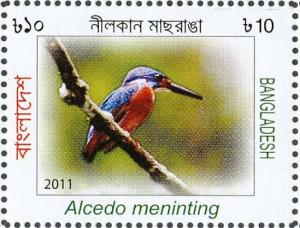 Colnect-4595-164-Blue-eared-Kingfisher-Alcedo-meninting.jpg