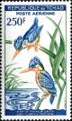 Colnect-3872-972-Malachite-Kingfisher-Alcedo-cristata.jpg