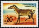 Colnect-5030-278-Turkmenian-Kulan-Equus-hemionus-kulan.jpg
