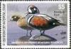 Colnect-205-605-Harlequin-Duck-Histrionicus-histrionicus.jpg