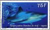 Colnect-2309-808-Silvertip-shark-Carcharhinus-albimarginatus.jpg