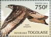 Colnect-3585-613-African-Hawk-eagle-Aquila-spilogaster.jpg