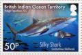 Colnect-3623-342-Silky-Shark-Carcharhinus-falciformis.jpg