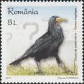 Colnect-5953-484-Rook-Corvus-frugilegus.jpg