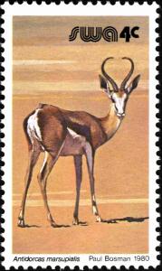 Colnect-5222-266-Springbok-Antidorcas-marsupialis.jpg