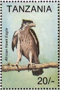 Colnect-3746-290-African-Hawk-Eagle-Aquila-spilogaster.jpg