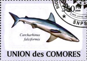 Colnect-3798-528-Silky-Shark-Carcharhinus-falciformis.jpg