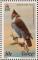 Colnect-1594-231-Ornate-Hawk-eagle-Spizaetus-ornatus.jpg
